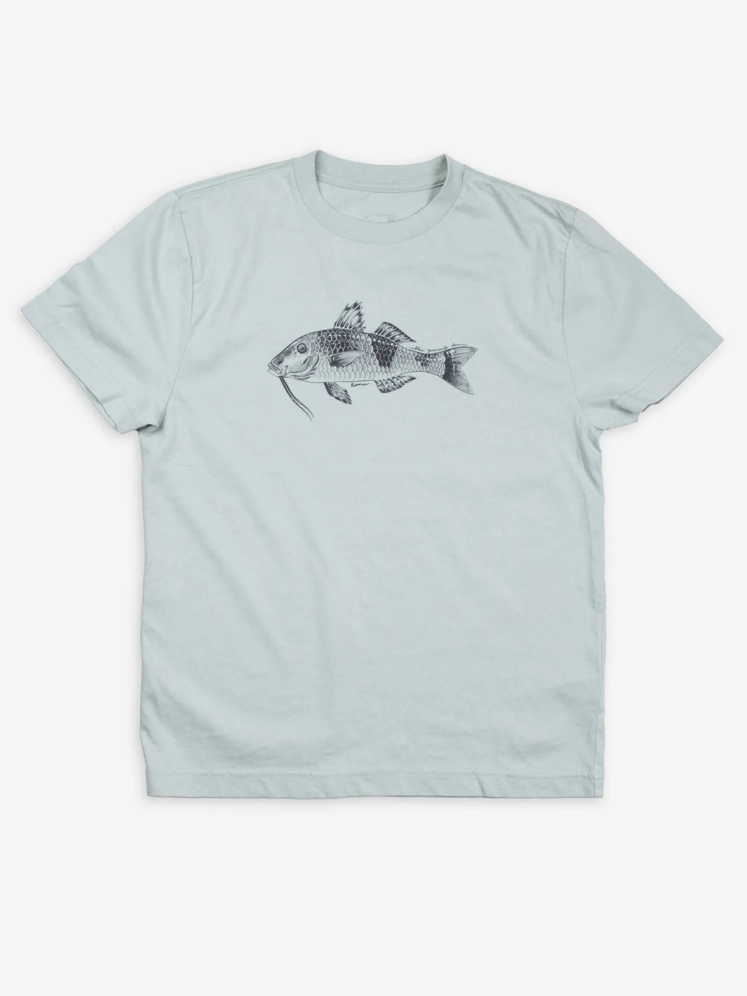 Kids Fish Tee Bundle