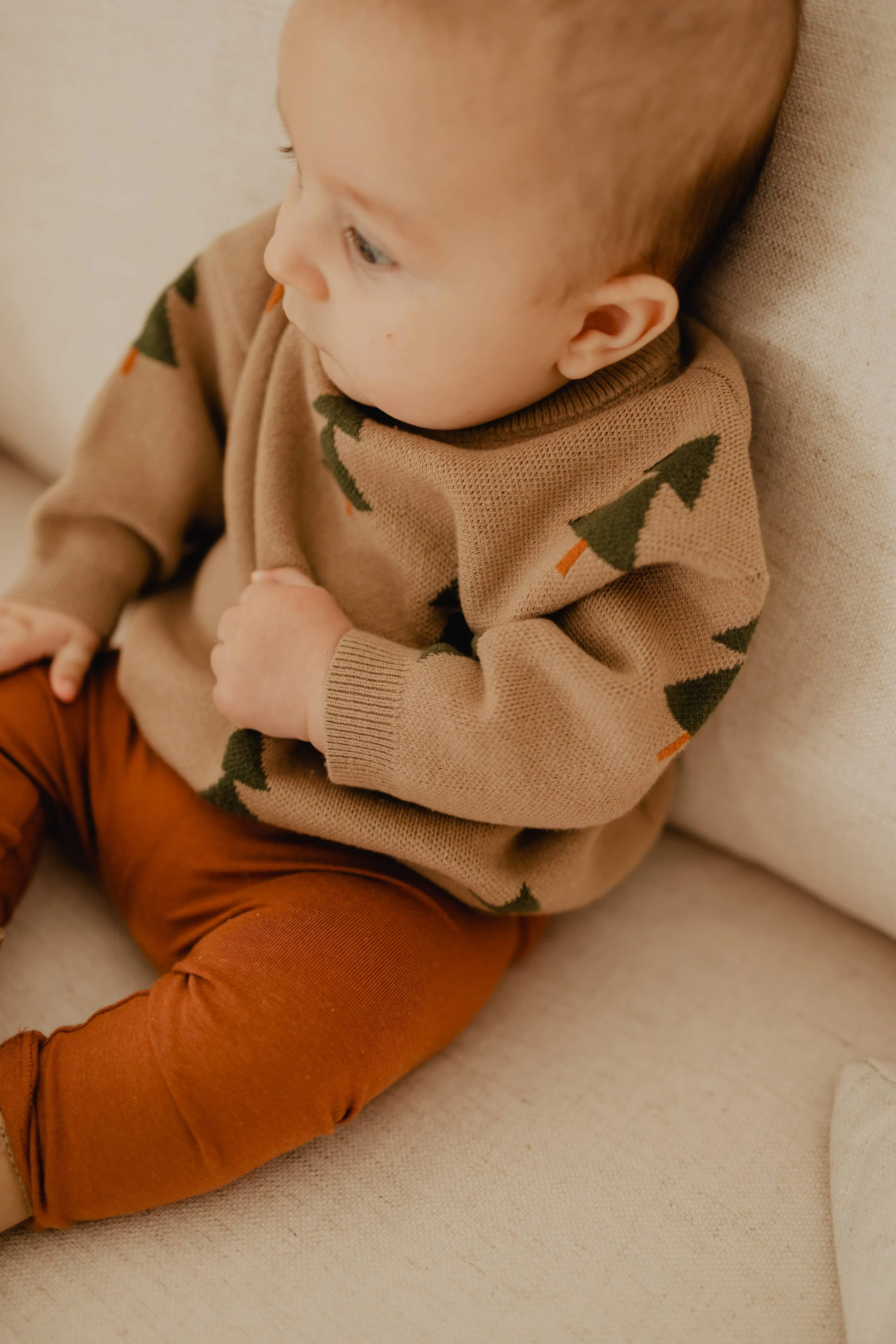 Kids Jaquard Knit Sweater in Winter Trees