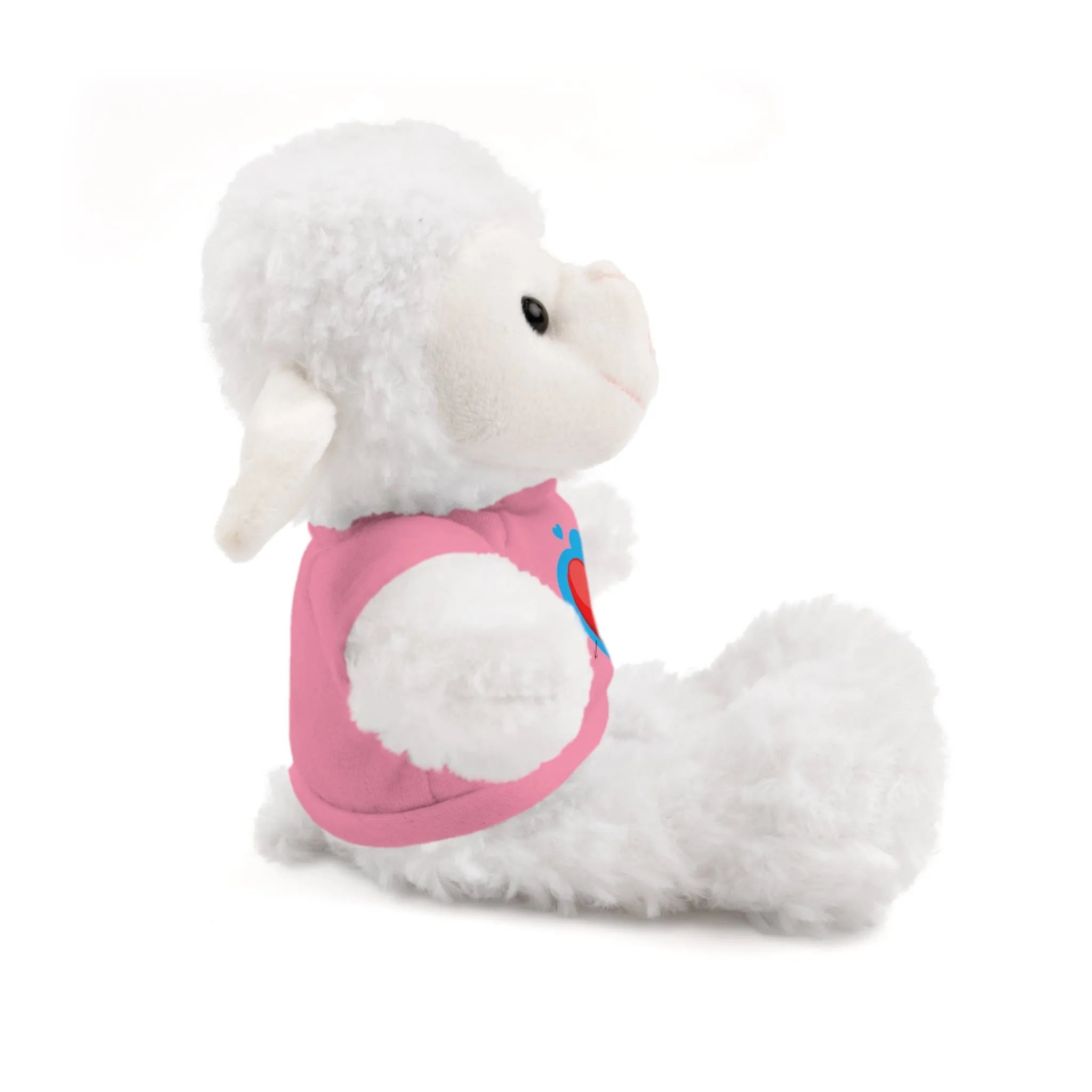 Stuffed animals with tee, a cute and fun gift option