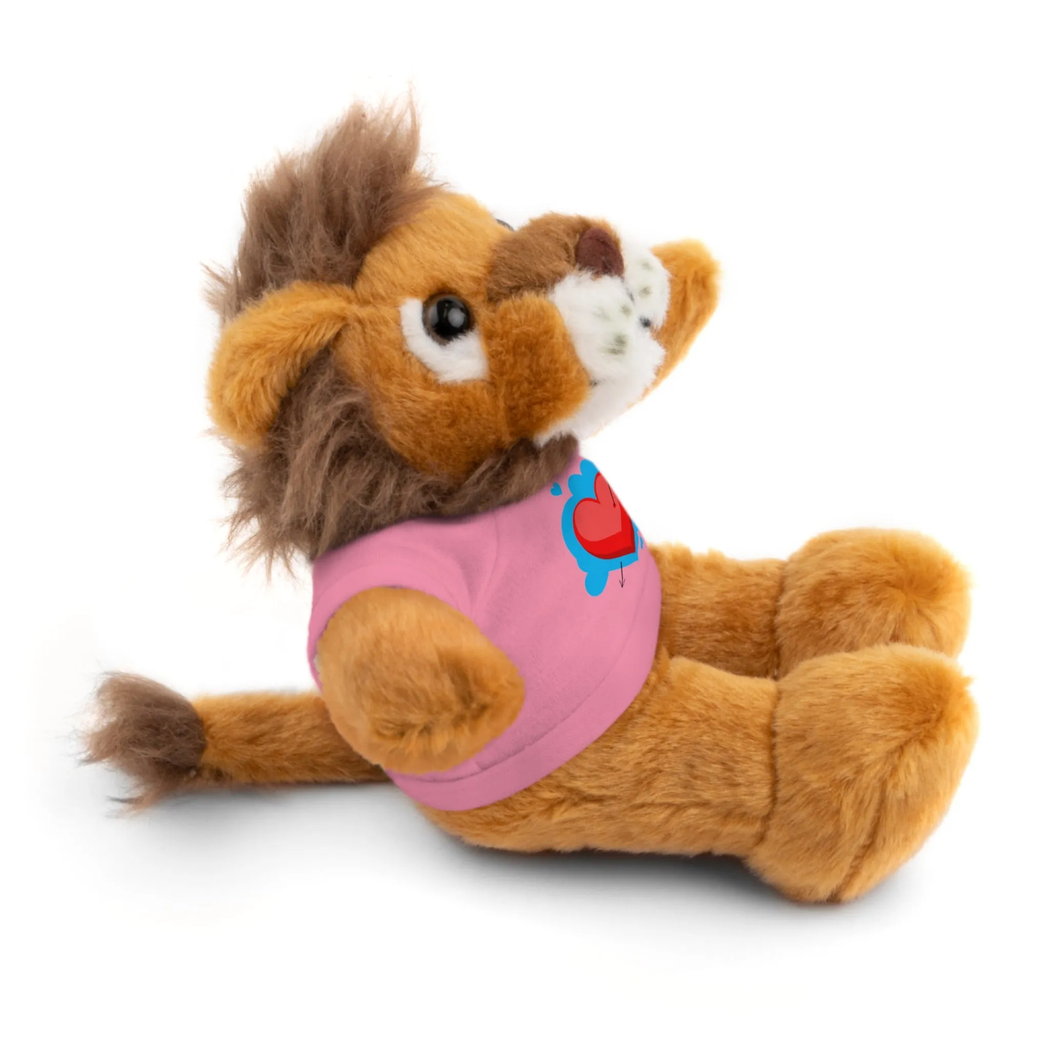 Stuffed animals with tee, a cute and fun gift option