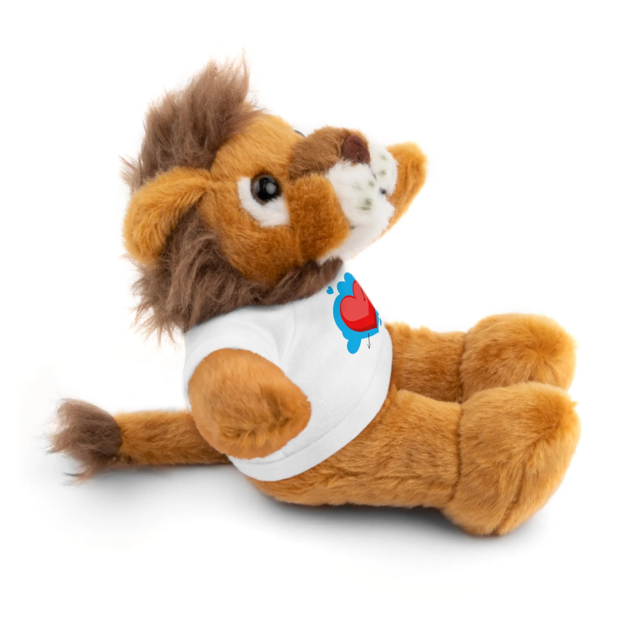 Stuffed animals with tee, a cute and fun gift option