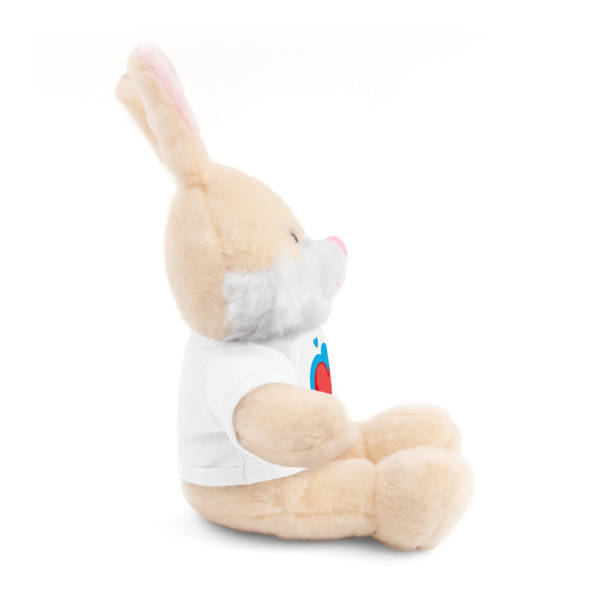 Stuffed animals with tee, a cute and fun gift option