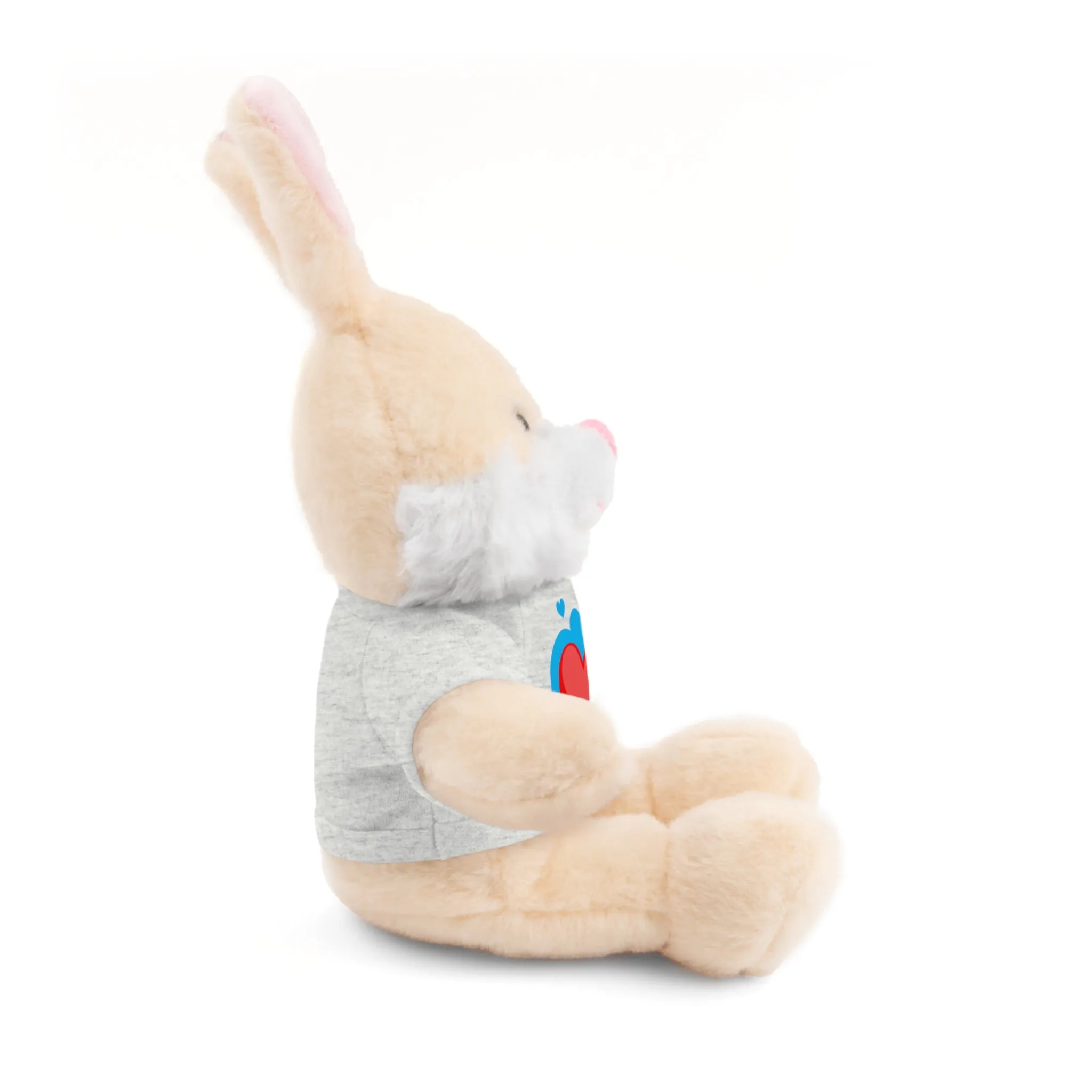 Stuffed animals with tee, a cute and fun gift option