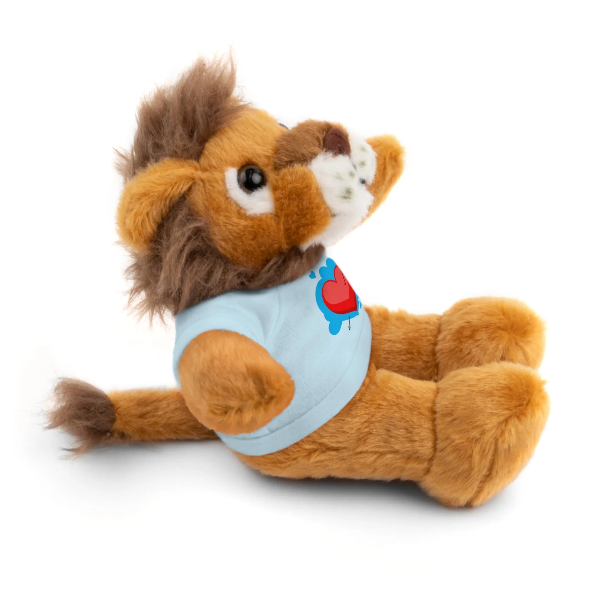 Stuffed animals with tee, a cute and fun gift option