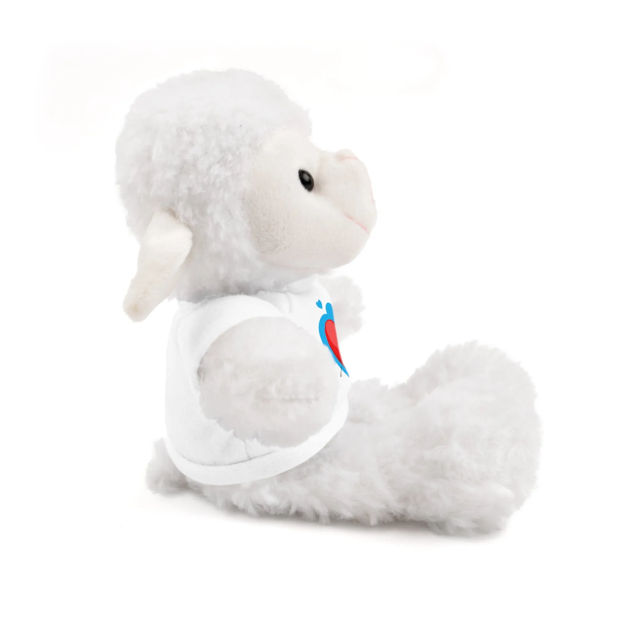 Stuffed animals with tee, a cute and fun gift option