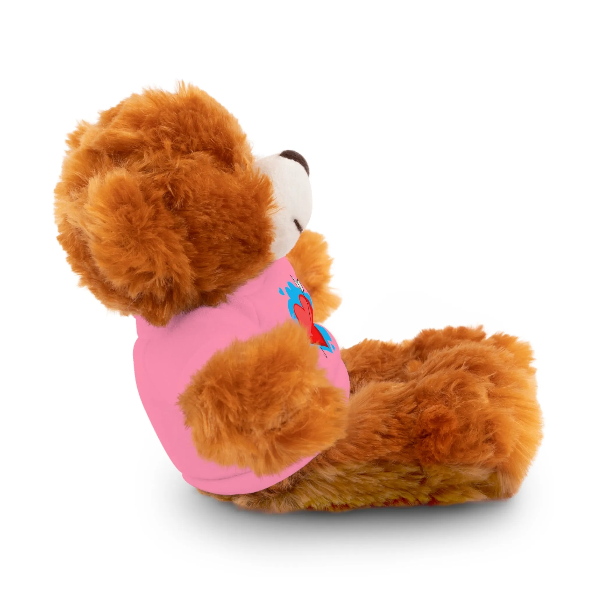 Stuffed animals with tee, a cute and fun gift option