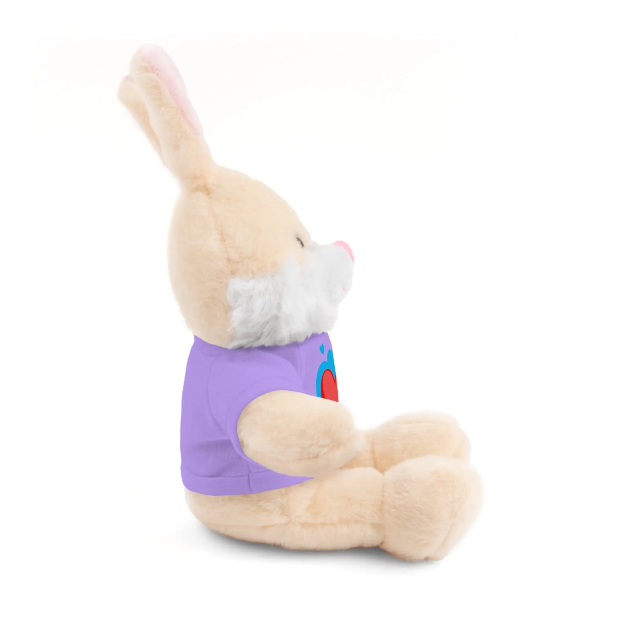 Stuffed animals with tee, a cute and fun gift option