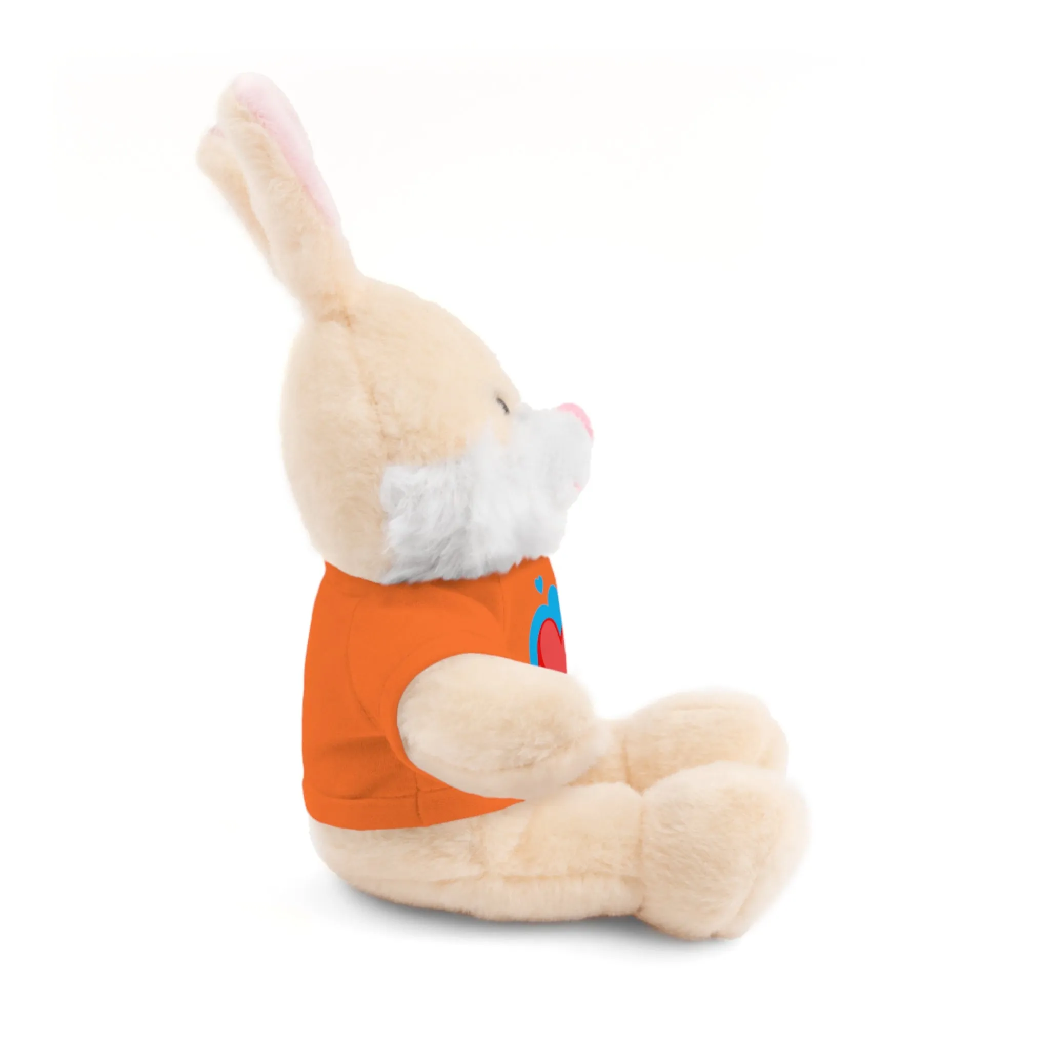 Stuffed animals with tee, a cute and fun gift option